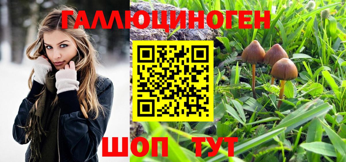 Липецк  Псилоцибиновые грибы прущие грибы  продажа наркотиков  Вход с VPN 